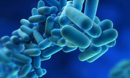 legionella